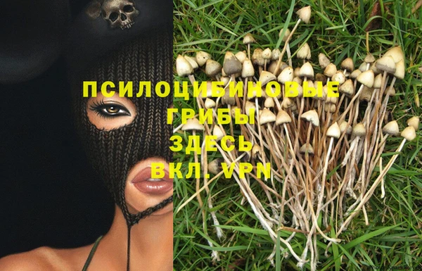 крисы Вяземский