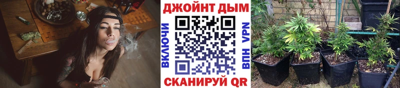 Шишки марихуана ГИДРОПОН  Купить где  Новосиль 